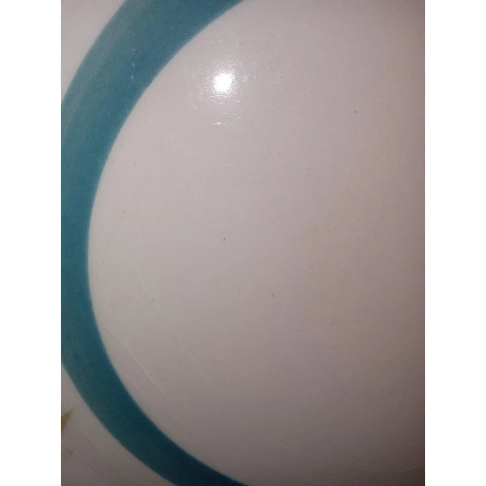 Vtg Colorstone Japan Balalaika 4203 Dinner Plate Blue Teal Floral 10.5